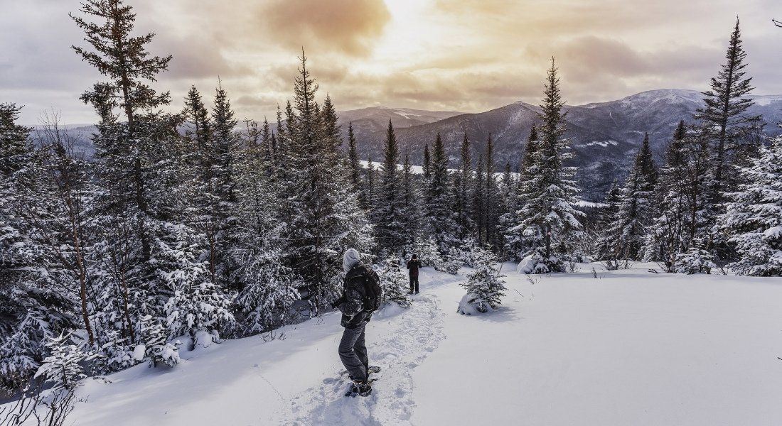 Northern extreme cold
